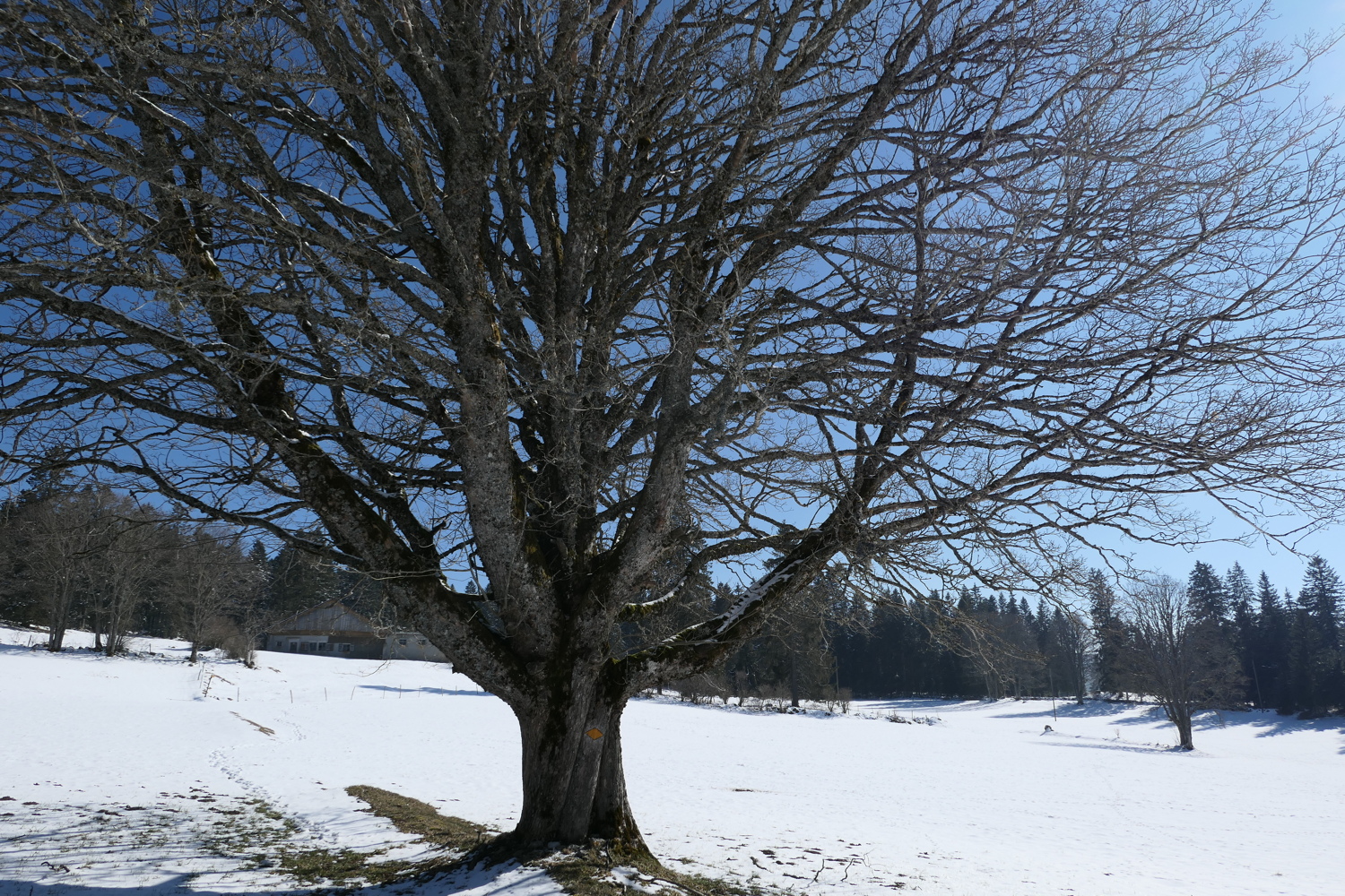 p1010545.jpg