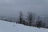 p1010490.jpg