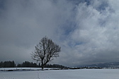 p1010494.jpg