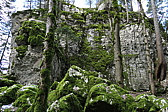 p1010504.jpg