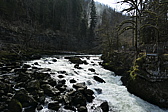 p1010506.jpg