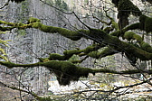 p1010511.jpg