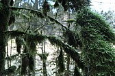 p1010536.jpg