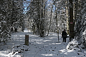 p1010541.jpg