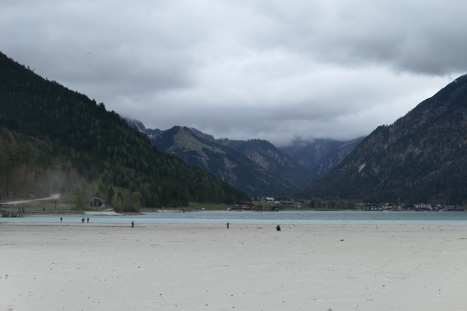 p1010835.jpg