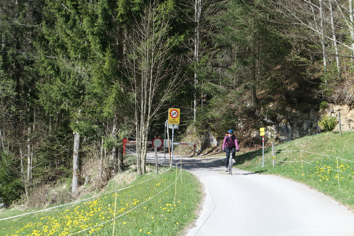 p1010856.jpg