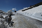 p1020003.jpg