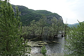 p1020037.jpg