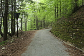 p1020053.jpg