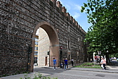 p1020093.jpg