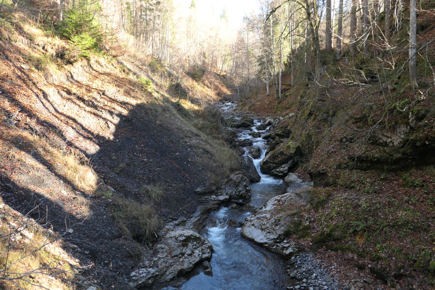 p1050310.jpg