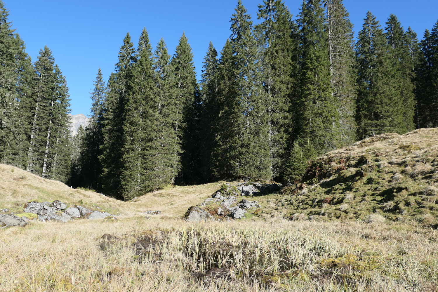 p1050332.jpg