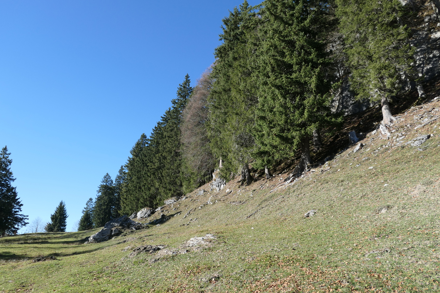 p1050335.jpg