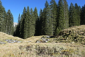 p1050332.jpg