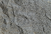 p1050340.jpg