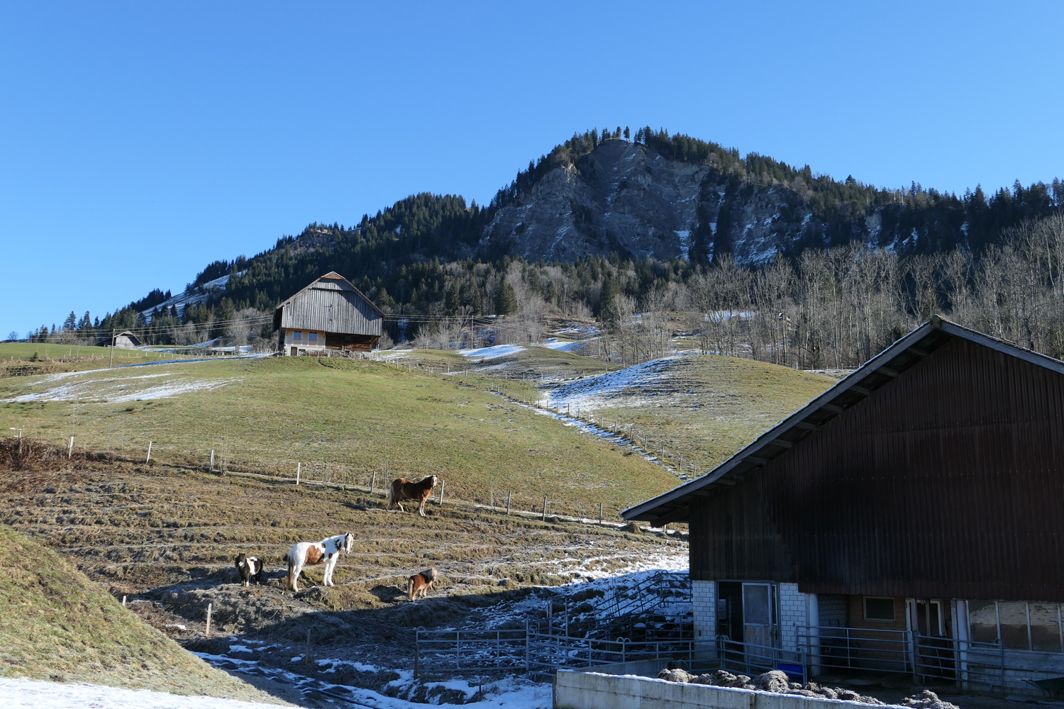 p1010304.jpg