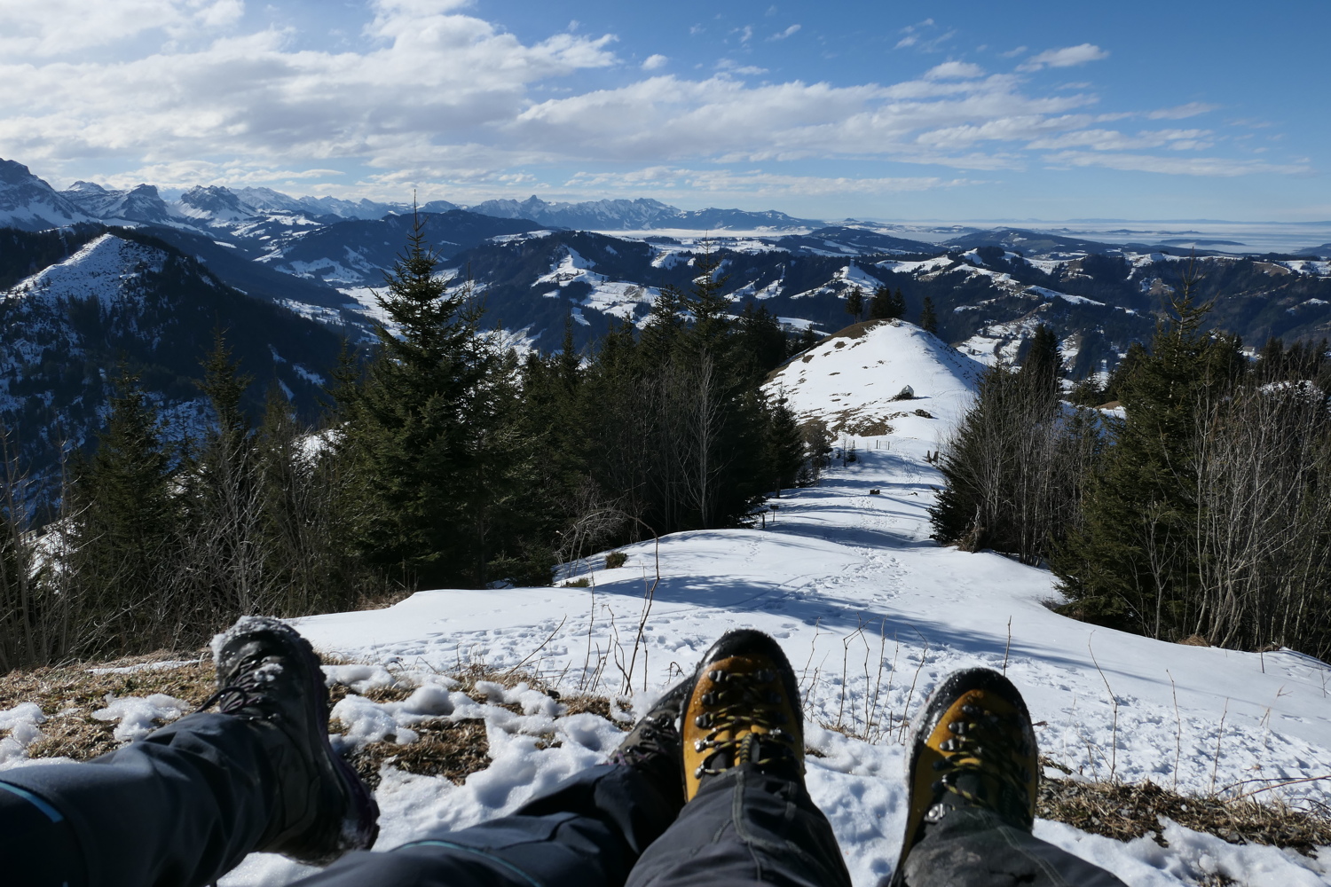 p1010315.jpg