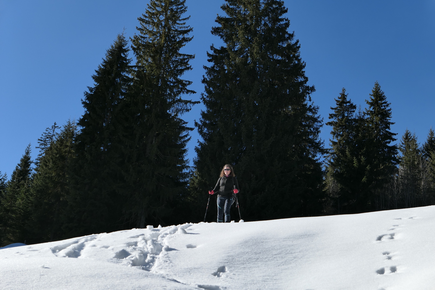 p1010319.jpg