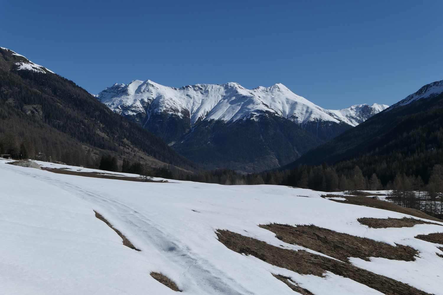 p1010638.jpg