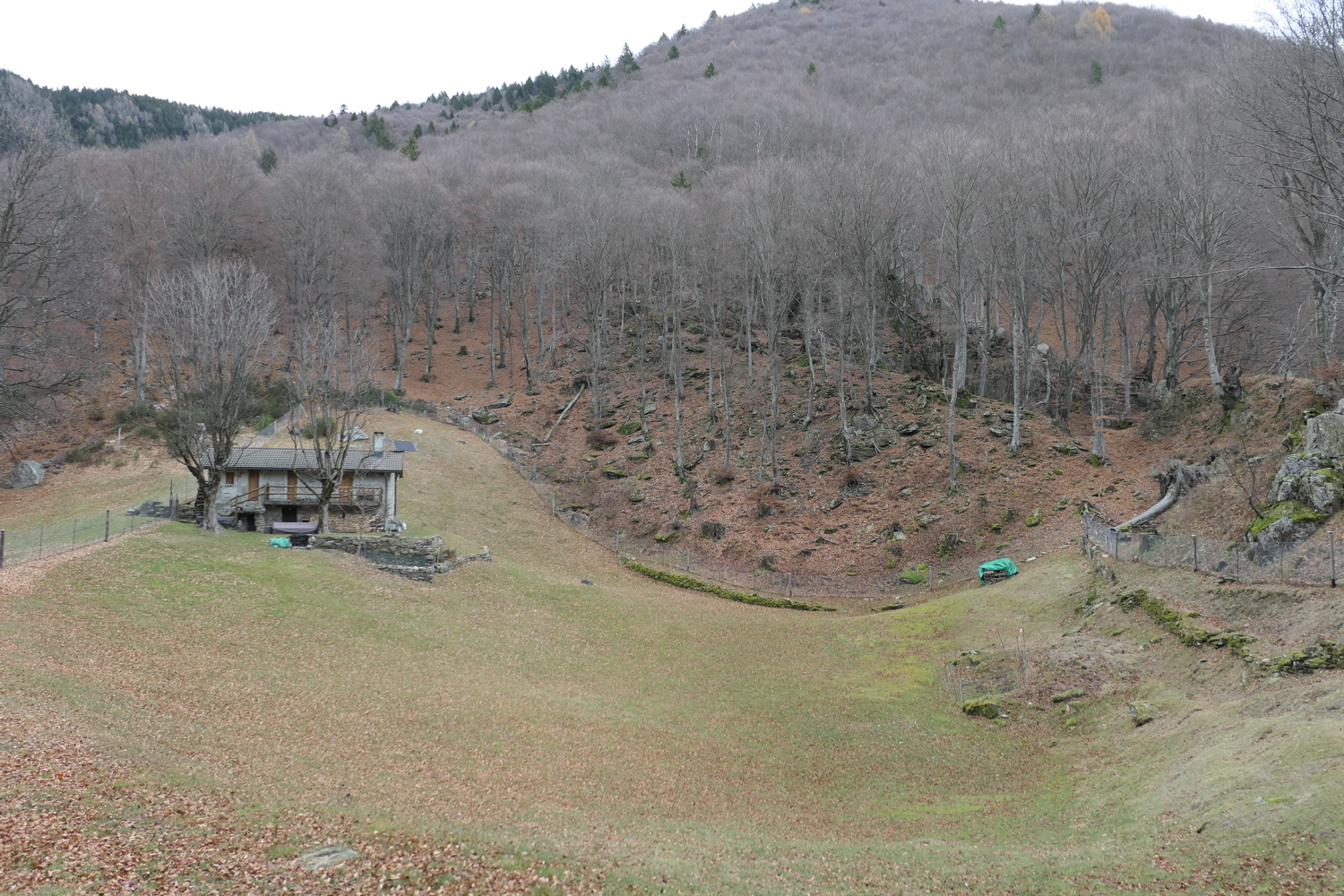 p1050390.jpg