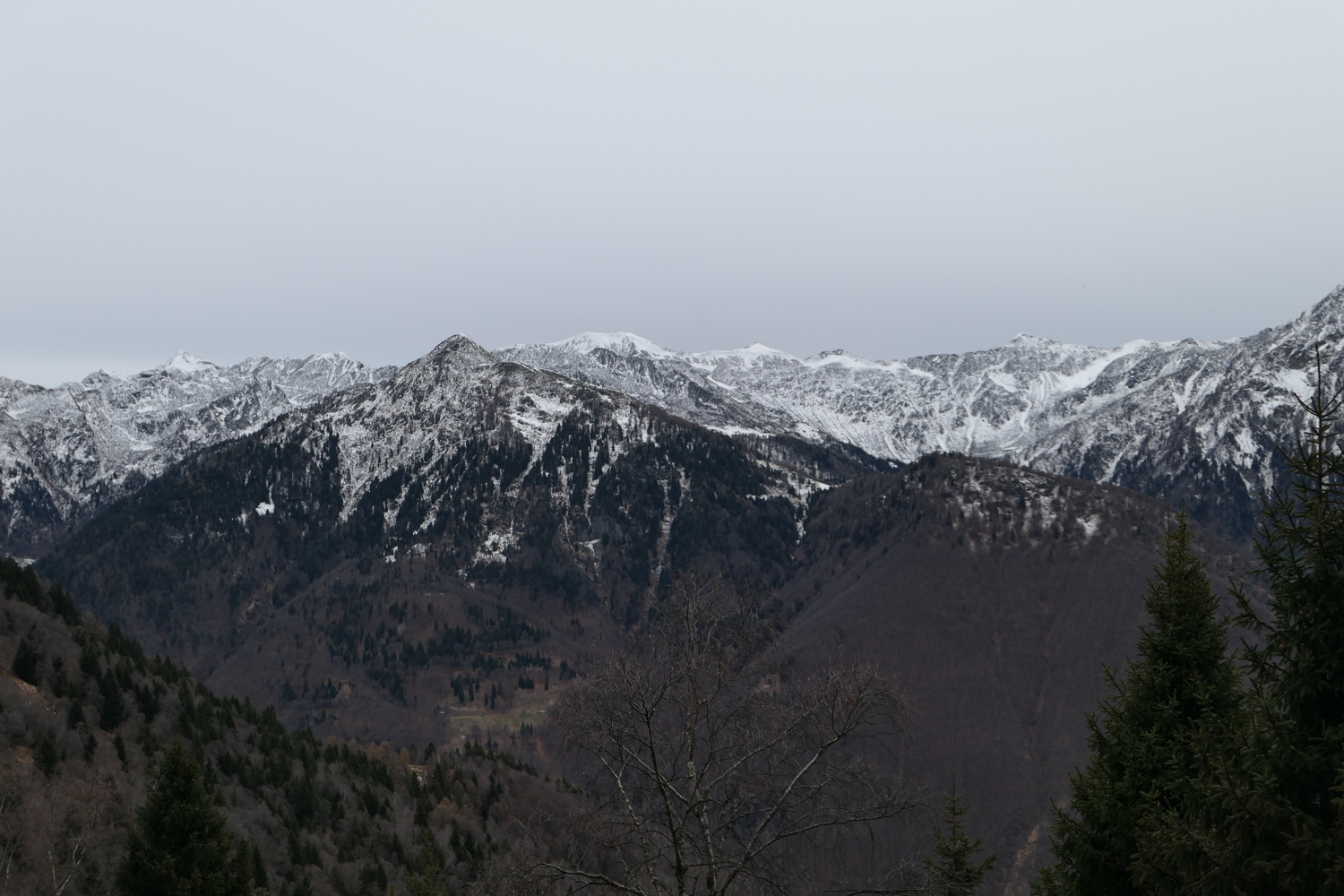 p1050396.jpg