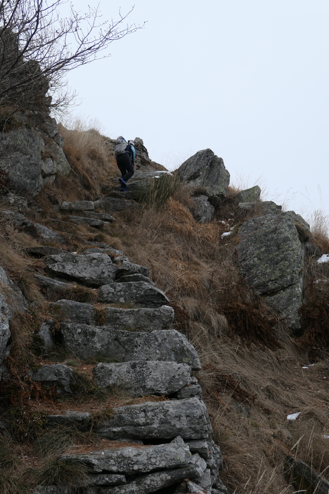 p1050398.jpg