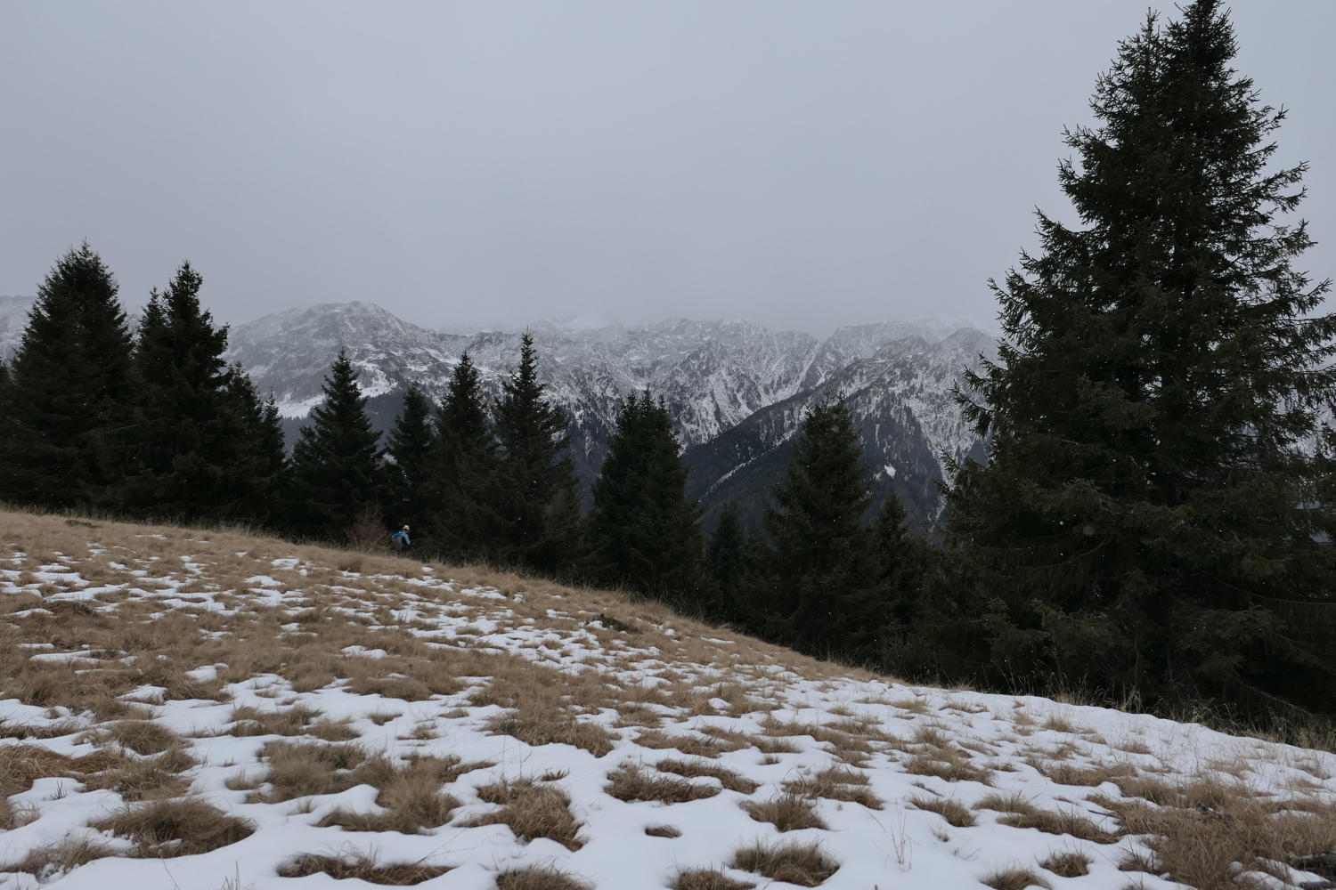 p1050404.jpg