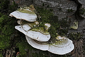 p1050392.jpg