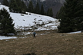 p1050407.jpg