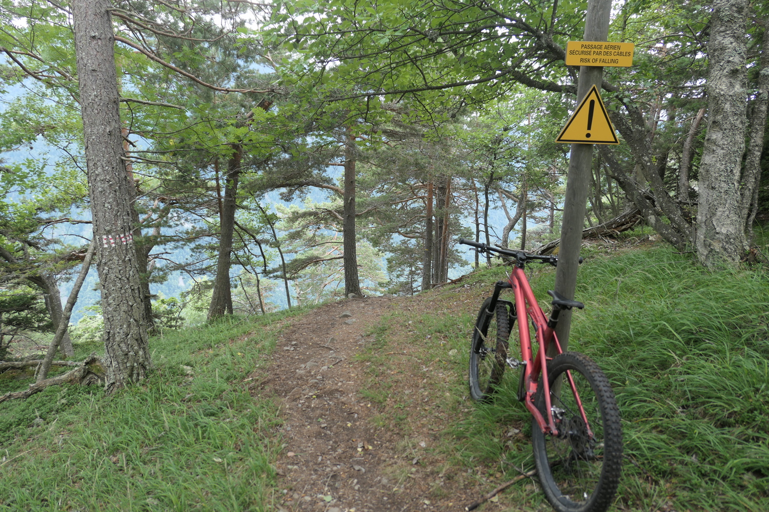 p1020997.jpg