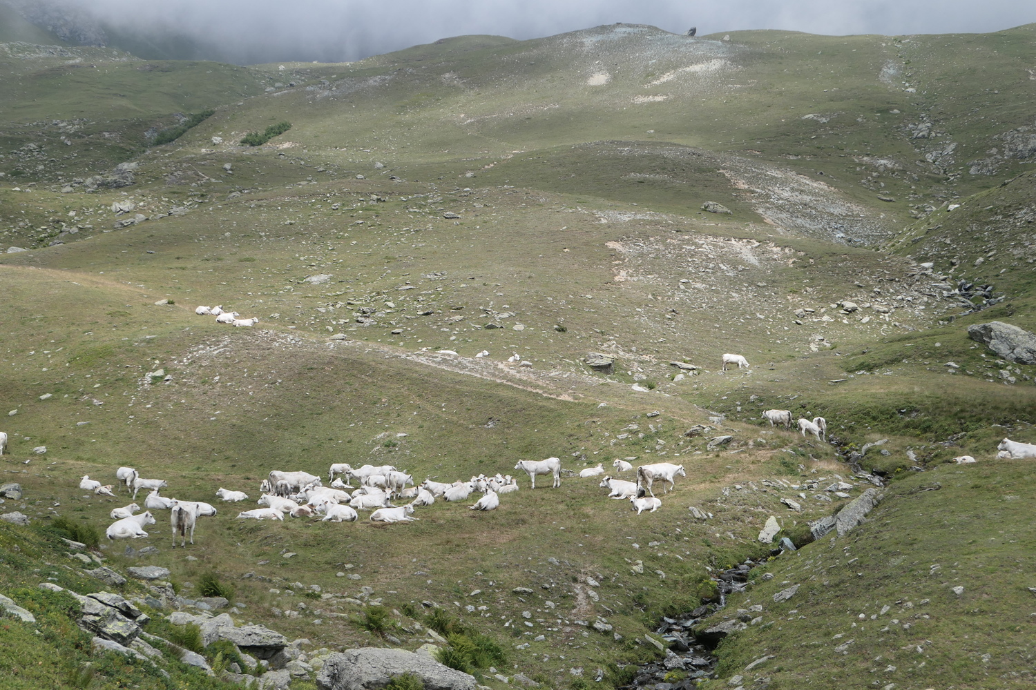 p1030100.jpg