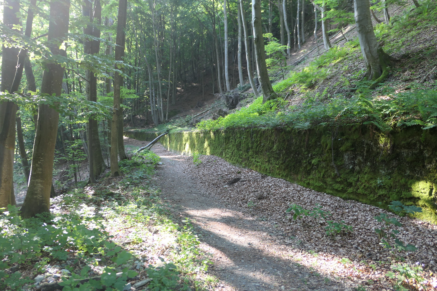 p1030105.jpg