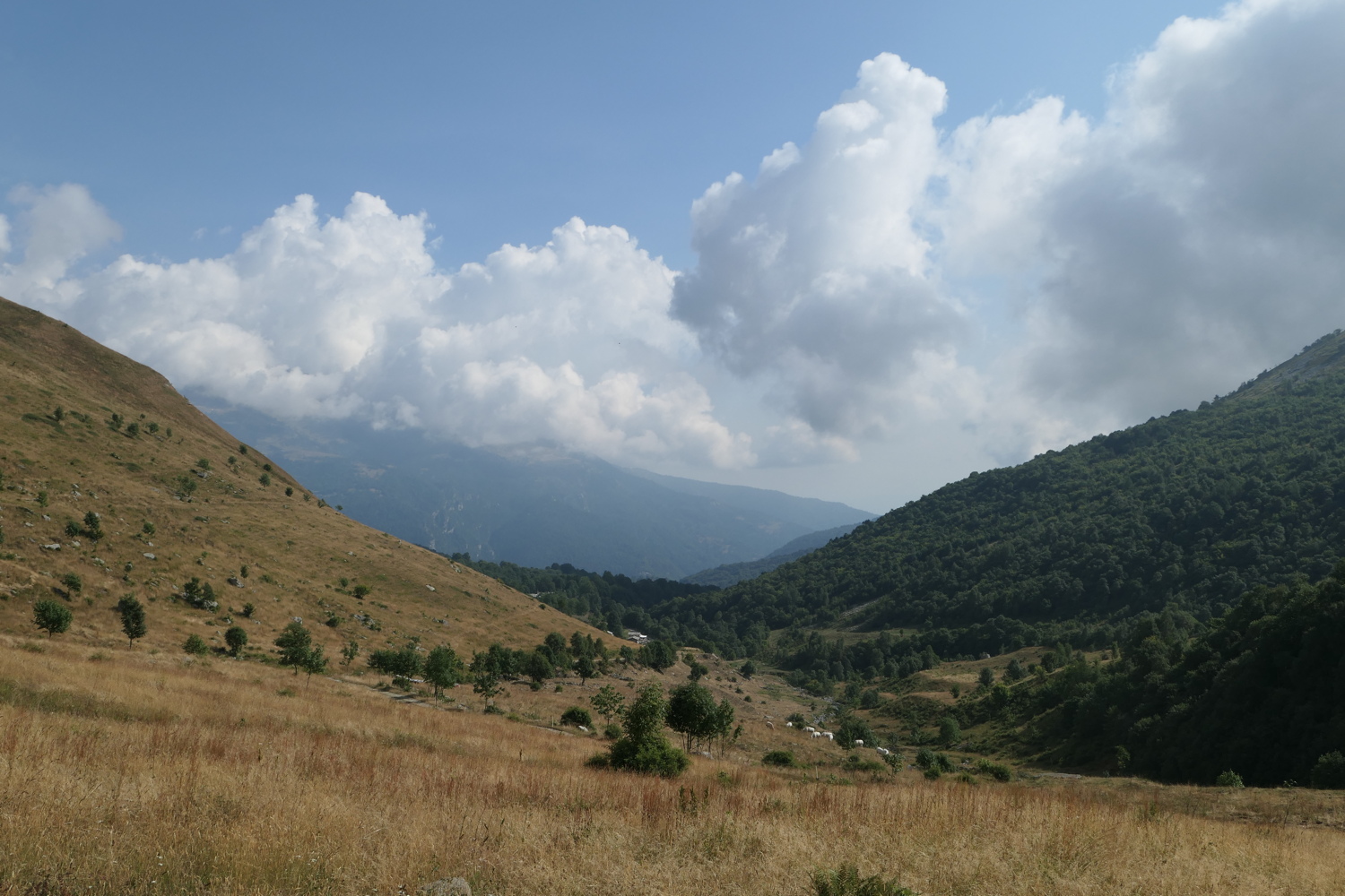 p1030106.jpg