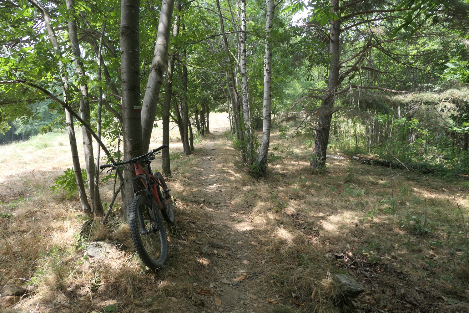 p1030136.jpg