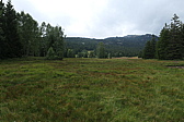 p1020996.jpg