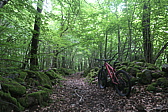 p1020998.jpg