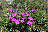 p1030047.jpg