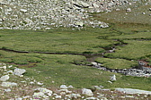 p1030088.jpg