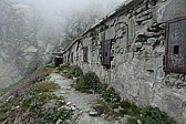 p1030099.jpg