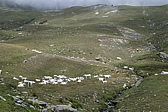 p1030100.jpg