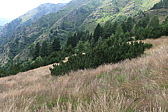 p1030113.jpg