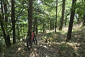 p1030116.jpg