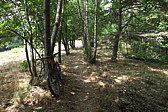 p1030136.jpg