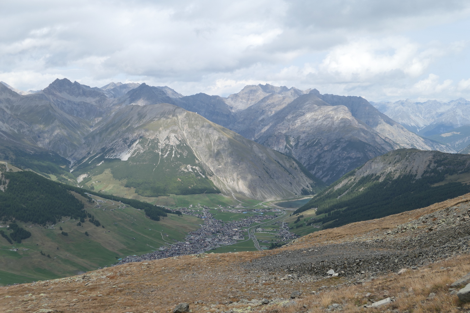 p1030554.jpg
