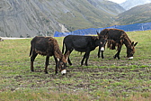 p1030561.jpg