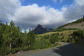 p1030587.jpg