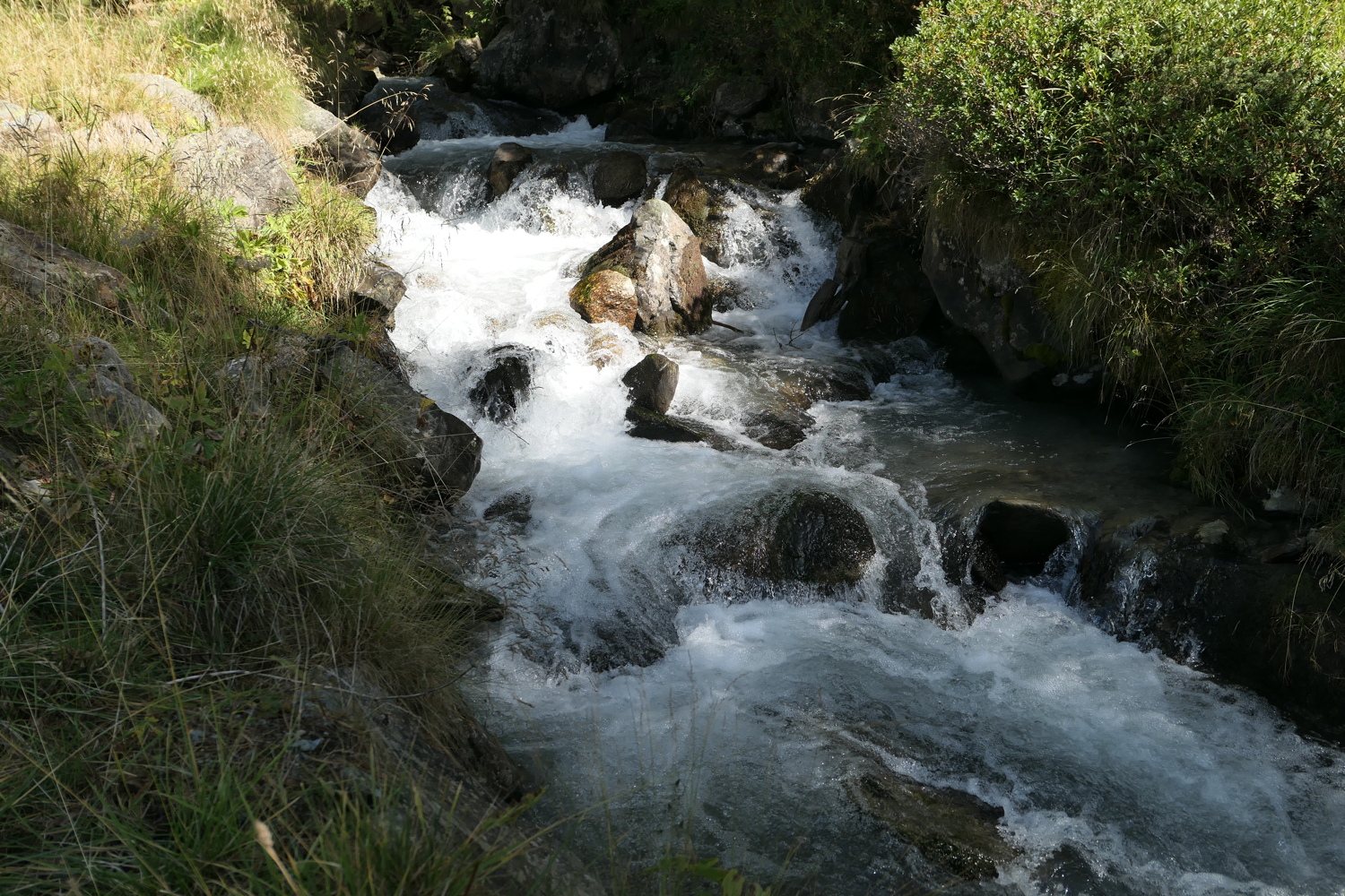 p1030477.jpg