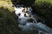 p1030477.jpg