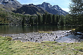p1030482.jpg