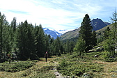p1030486.jpg